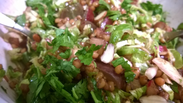 Wheatberries and Sprouts Salad with Red Grapes and Almonds