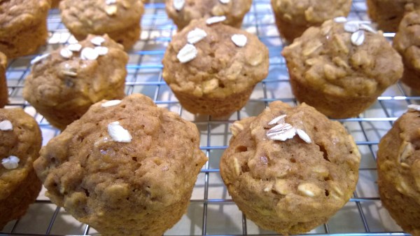 pumpkin oatmeal mini muffins