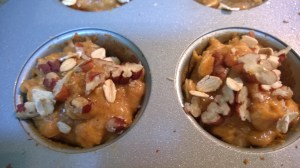 pumpkin oatmeal mini muffins with pecans