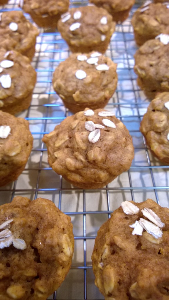 Pumpkin Oatmeal Mini Muffins