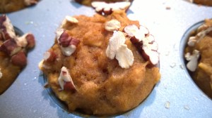pumpkin oatmeal mini muffins with pecans