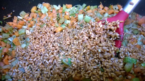 wheat berries 