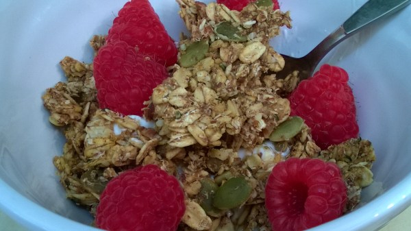 pumpkin pecan granola with yogurt and berries, yum!