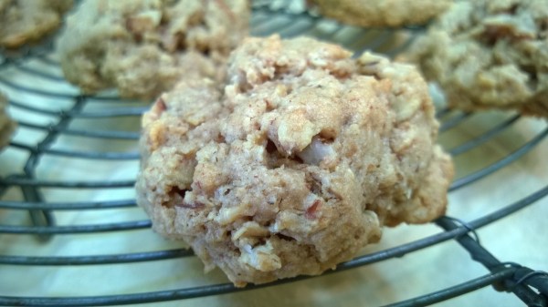 Plain Jane Soft and Chewy Oatmeal Cookies with Walnuts