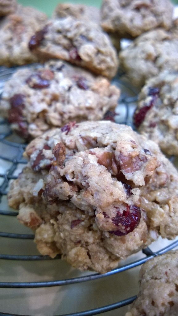 Soft and Chewy Oatmeal Cookies