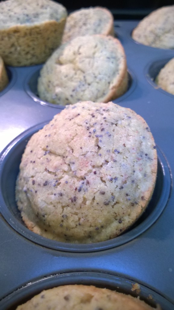 lemon poppy seed gluten free muffins